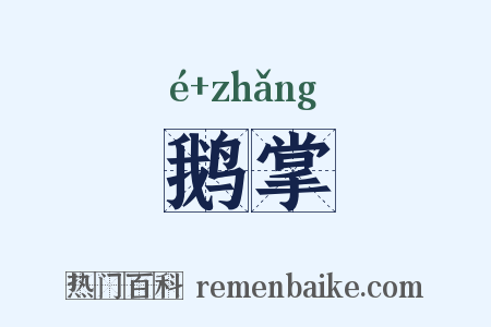 鹅掌是什么意思的图片